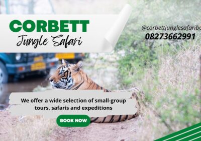 Get Corbett Jungle Safari Booking at Affordable Rates