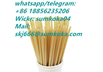 Eco-Friendly-Disposable-Biodegradable-Bagasse-Straw