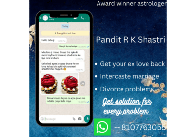 Famous Astrologer and Spiritual Healer in India