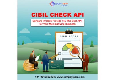 Get-Best-Cibil-Score-Check-API-at-Best-Price