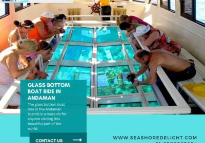 Get Best Glass Bottom Boat Ride in Andaman | Seashore Delight