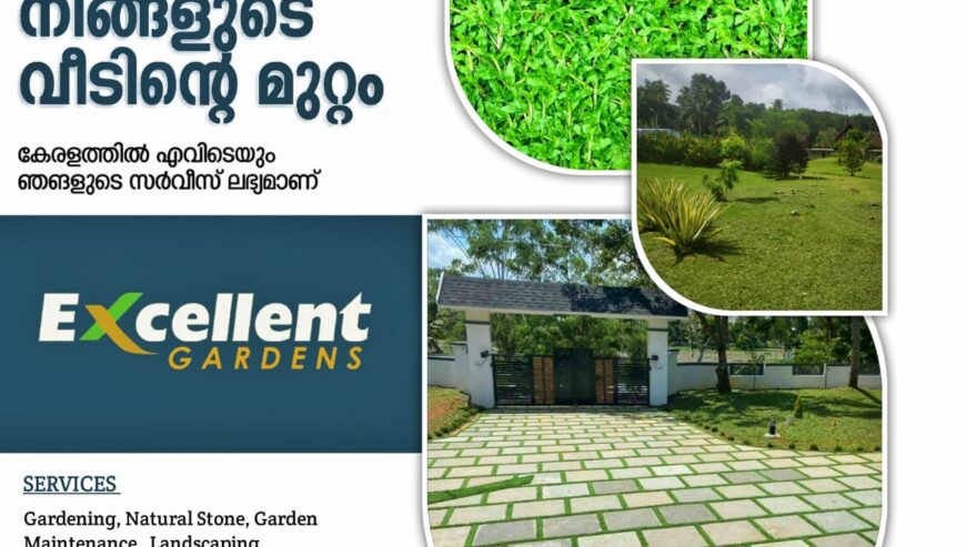 Top 10 Garden Maintenance Works in Thavalakuzhy