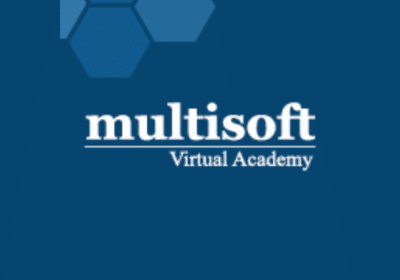 Multisoft-Virtual-Academy