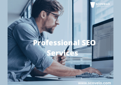 Professional-SEO-Services