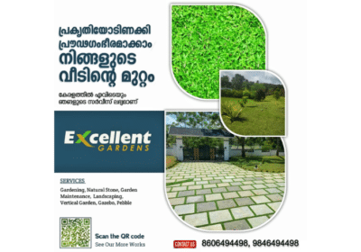 Top-10-Indoor-Outdoor-Plants-in-Pampady-Kerala