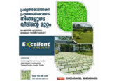 Top-10-Mexican-Grass-Works-in-Ponkunnam-Kerala