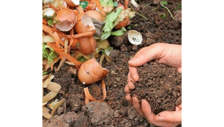 Top Quality Vermicompost For Sale in Coimbatore | Native Indian Organics