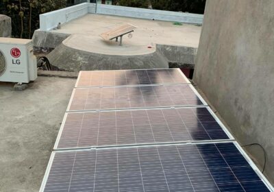 Best Solar Project Developer in Odisha | WhiteShark Energy