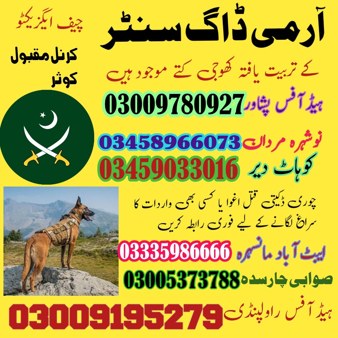 Army Dog Center Islamabad Pakistan