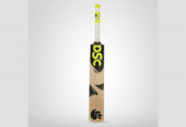 Buy DSC Condor Blitzer Cricket Bat Online in USA