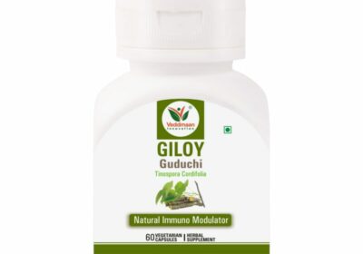 Giloy-3D-Front-min-800×800-1