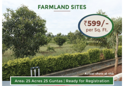 Land For Sale in Vipra Farms Nelamangla
