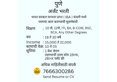 Need Office Staff in IBA Company Pune