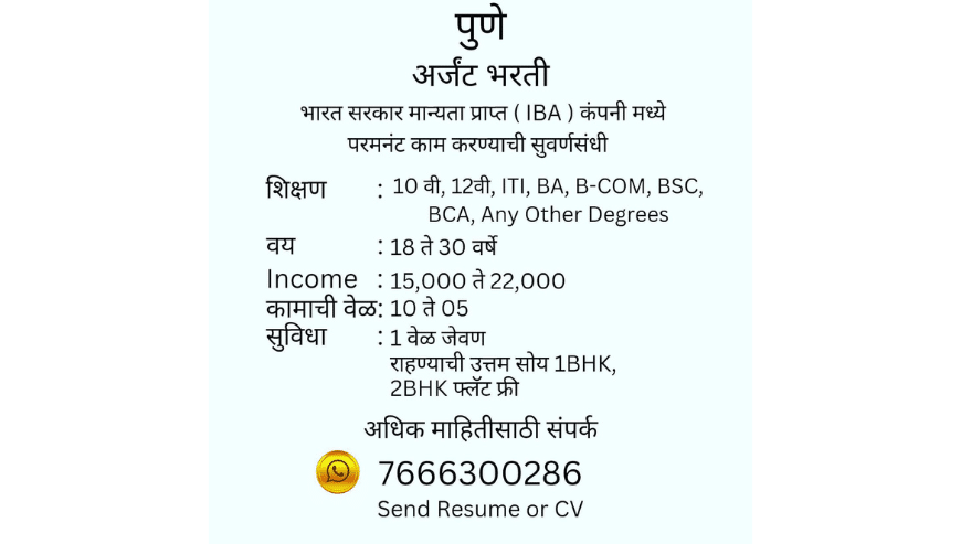 Need Office Staff in IBA Company Pune