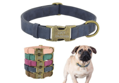 Best Dog Training Collars For Australian Dogs