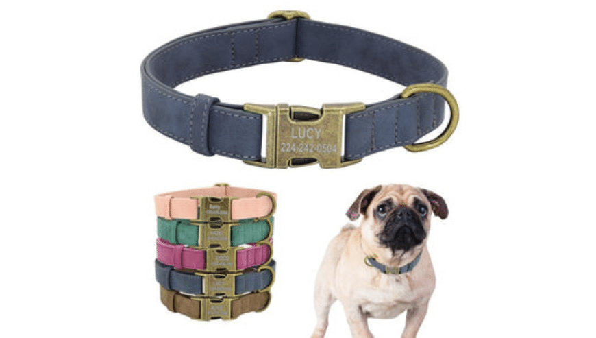 Best Dog Training Collars For Australian Dogs