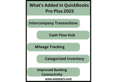 QuickBooks Desktop Pro Plus 2023 | Wizxpert