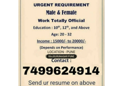 Require-Male-Female-For-Official-Work-in-Pune