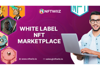 White-label-nft-marketplace-nftwiiz-1