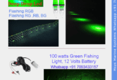 Buy Green Fishing Light in Chennai