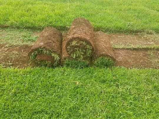 Grass Installation & Tar Driveway in Pietermaritzburg