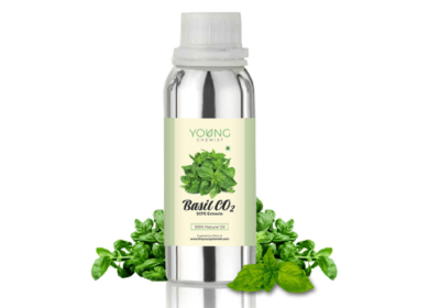 Buy Basil Oil CO2 Extract / Buy Basil Essential Oil
