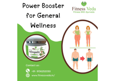 Energy Booster General Wellness Supplement