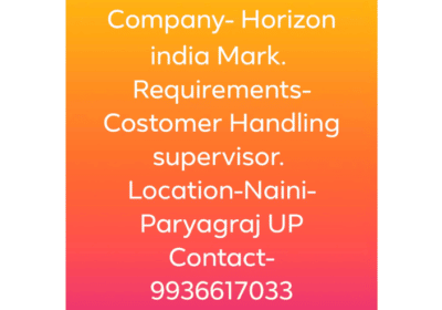 Customer Handling Supervisor Jobs in Allahabad