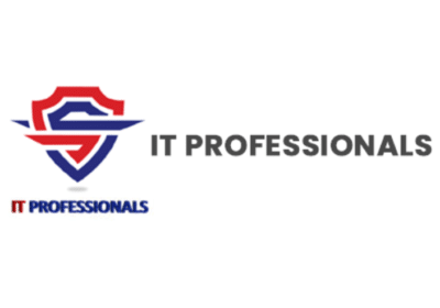 IT-Professionals