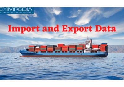 Best Import Export Data Service Companies