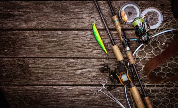Best-in-Class Fishing Accessories Online in India