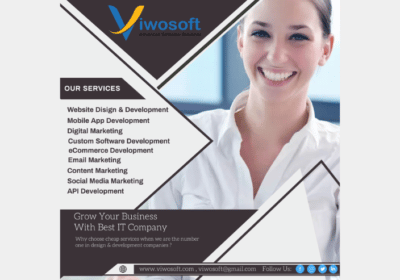 Best-SEO-Services-For-Small-Business-Viwosoft