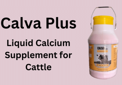 Liquid Calcium Supplement For Cattle – Calva Plus