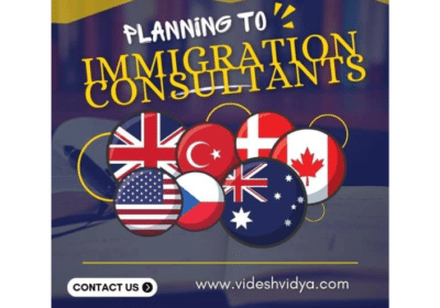 Immigration-Consultants-in-Chandigarh