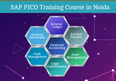 Screenshot-SAP-FICO-Training-Noida
