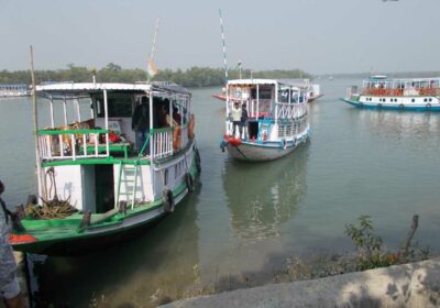 Sundarban Tour Package | Sundarban Mangrove Travels