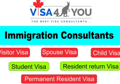Professional Visa Consultants in Pune | Visa4You
