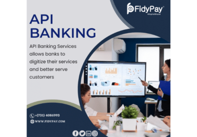 API-Banking-Service-Provider-in-India-FidyPay