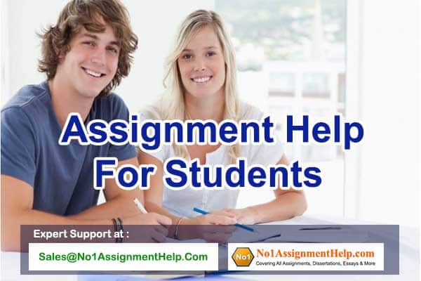 Student Assignment Help Services - No1AssignmentHelp.Com