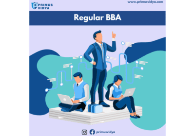 Bachelor-of-Business-Administration-BBA-Primus-Vidya