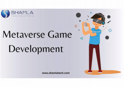 Best 3D Metaverse Game Development Company | Shamla Tech