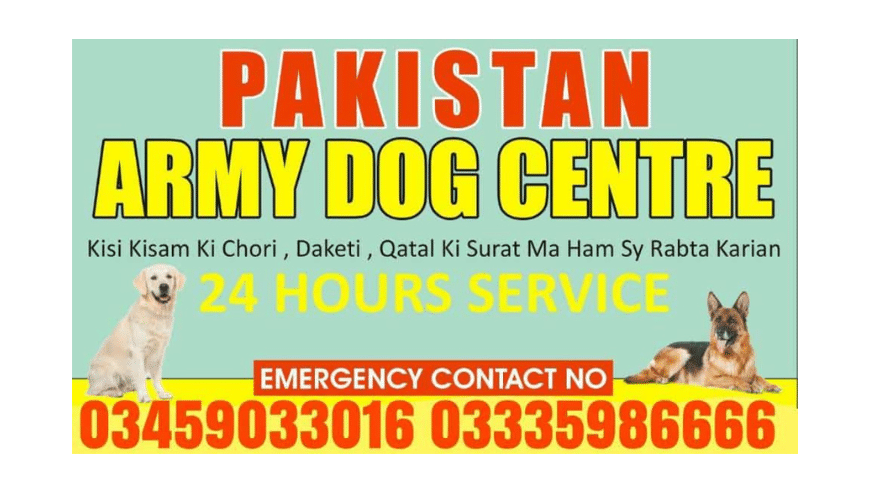Best Army Dog Center Okara