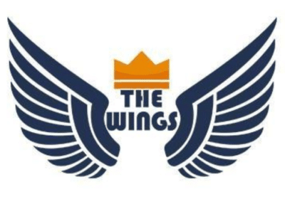 Best Digital Marketing Company in New Delhi | The Wings India