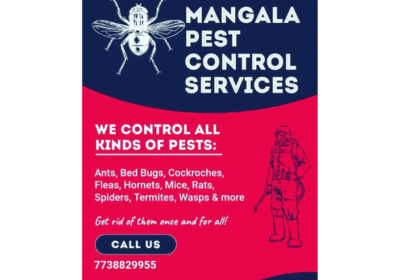 Best Pest Control Service in Dombivali, Mumbai