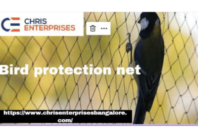 Bird-Protection-Nets-in-Bangalore-Chris-Enterprises