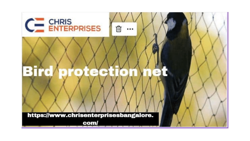 Bird Protection Nets in Bangalore | Chris Enterprises