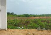 Land Suitable For Commercial Use Facing The Expressway Lekki, Lagos