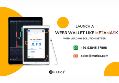 Launch a Web3 Wallet Like Metamask with Leading Solution Setter |  Maticz