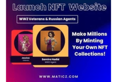 NFT-Website-Development-Maticz