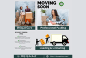 Packers Movers Company in Bangalore | Shree Packers